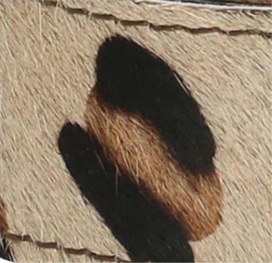 Begroting ❤️ Beste deal ❤️ Micmacbags Wildlife Schouderband - Wild Leopard ✔️ 🧨 10 Begroting ❤️ Beste deal ❤️ Micmacbags Wildlife Schouderband - Wild Leopard ✔️ 🧨 - Afbeelding 8