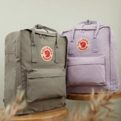 Korting 🧨 Promo 🌟 Fjallraven Fjällräven Kånken Unisex Rugzak - Fog 🔥 🎁 -Tassen-dames Winkel 550x824 38